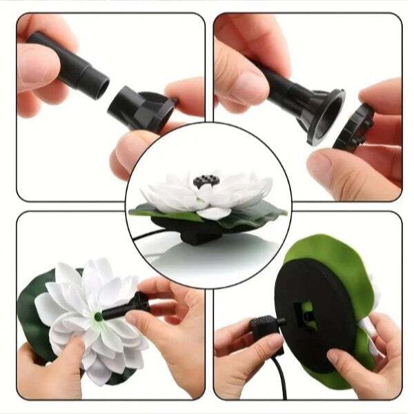 Harmonizing Lotus Stream